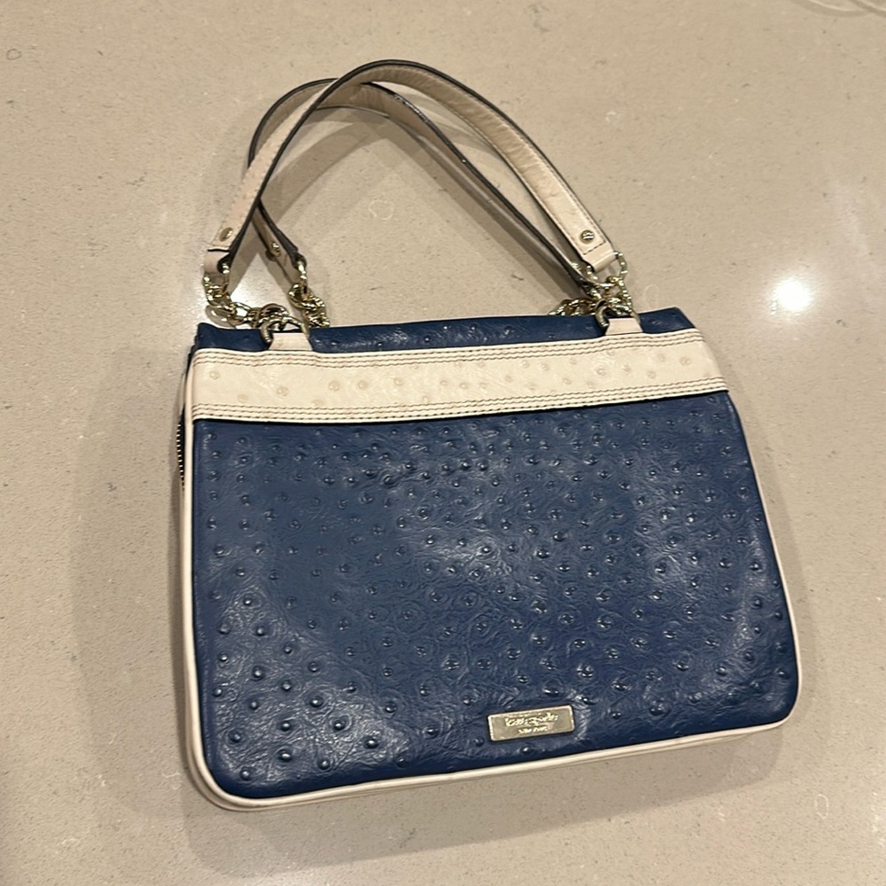 Kate Spade Zip Darcy Valencia Road Satchel Handbag